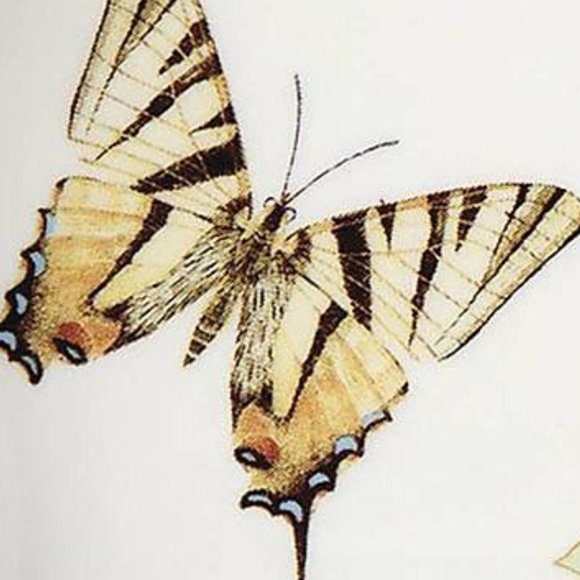 new in box Lenox Swallowtail Butterfly Meadow 9.75" Porcelain Tray Lilac Floral - Picture 3 of 10